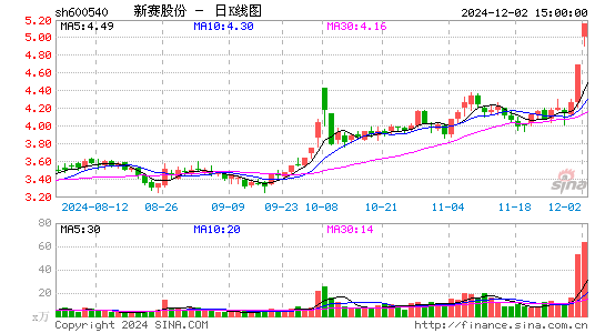 新赛股份