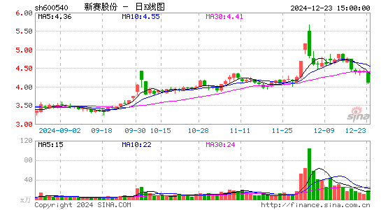 新赛股份