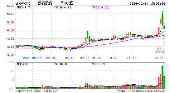 新赛股份