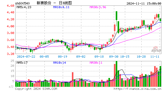 新赛股份