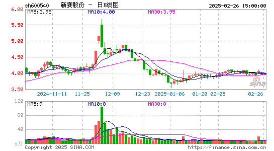 新赛股份