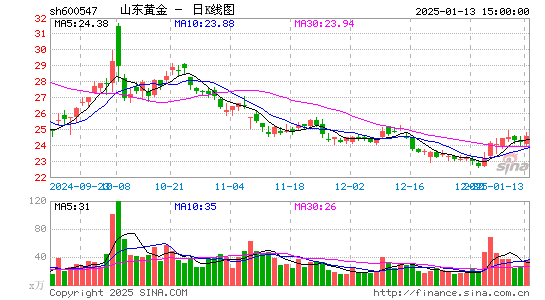 山东黄金