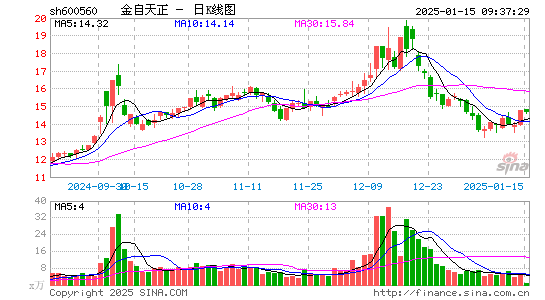 金自天正