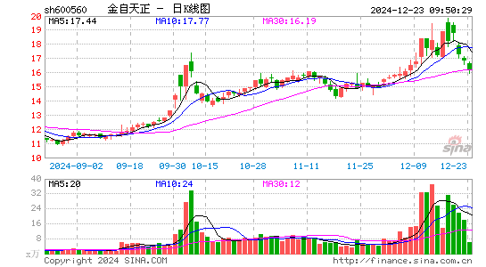 金自天正