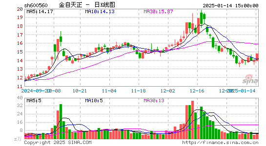 金自天正