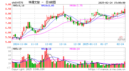 祥源文化