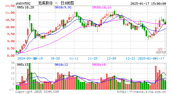 龙溪股份