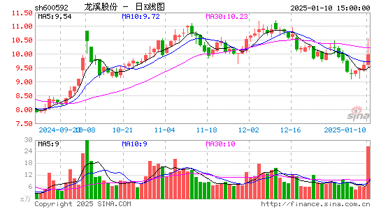 龙溪股份