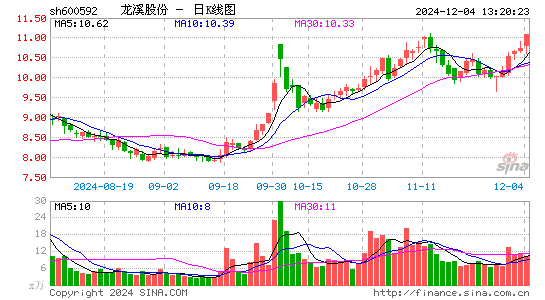 龙溪股份