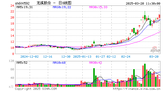 龙溪股份