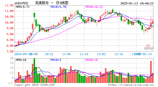 龙溪股份