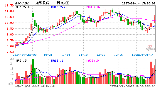 龙溪股份