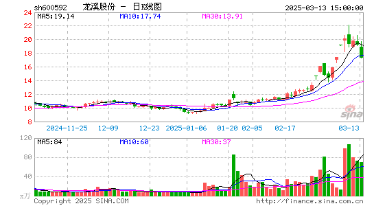 龙溪股份