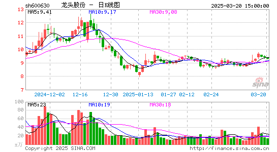 龙头股份