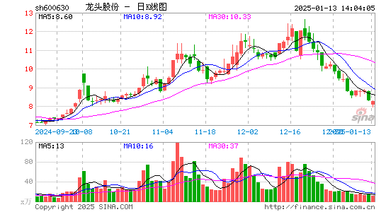 龙头股份