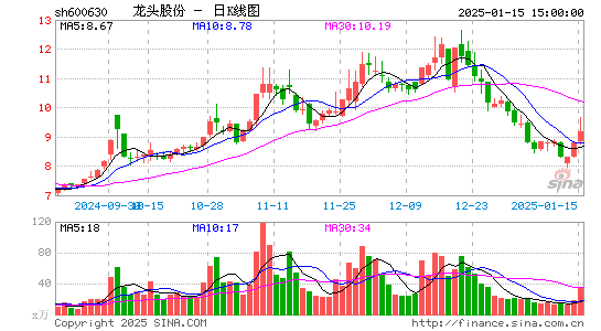 龙头股份