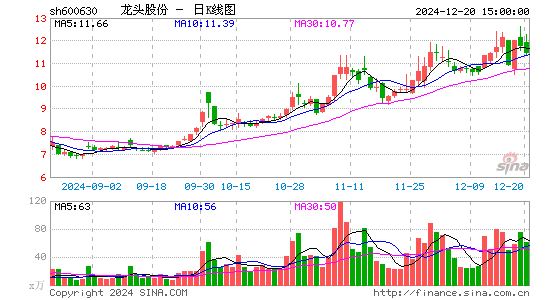 龙头股份