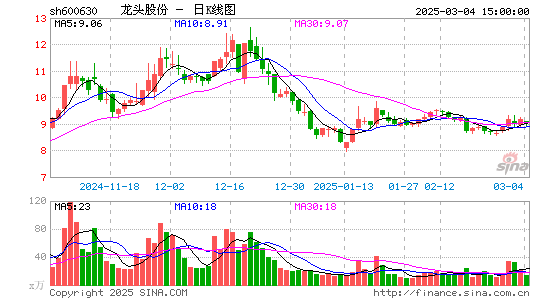 龙头股份