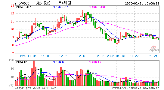 龙头股份