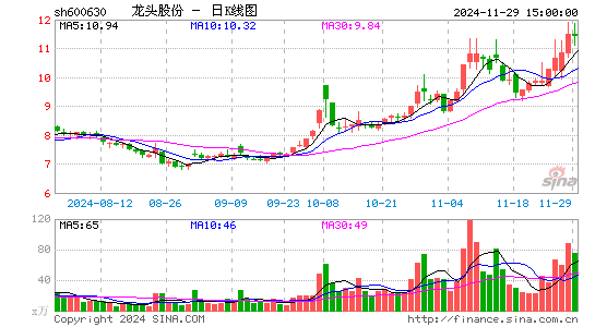 龙头股份