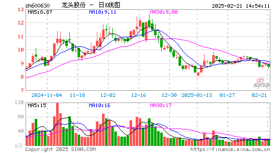 龙头股份