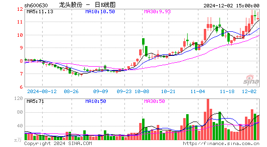 龙头股份