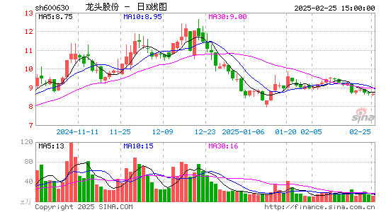 龙头股份