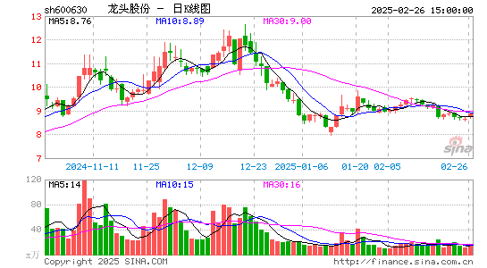 龙头股份