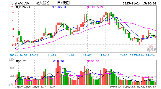 龙头股份