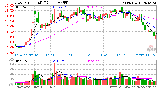 浙数文化