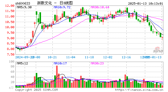 浙数文化