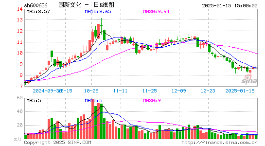 国新文化