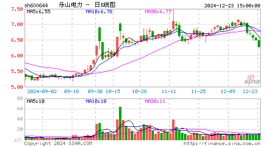 乐山电力