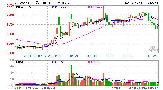 乐山电力