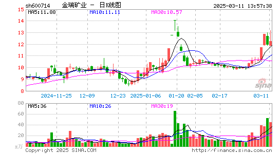 金瑞矿业