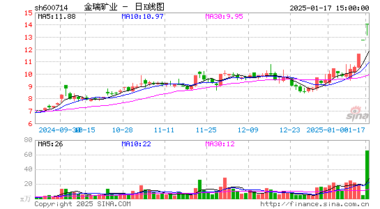 金瑞矿业