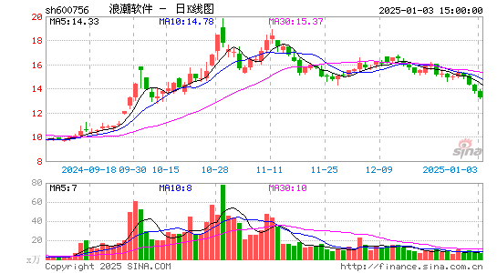 浪潮软件