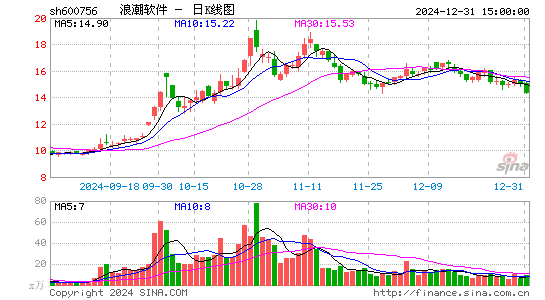 浪潮软件