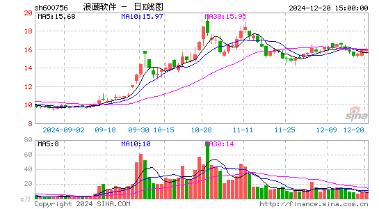 浪潮软件