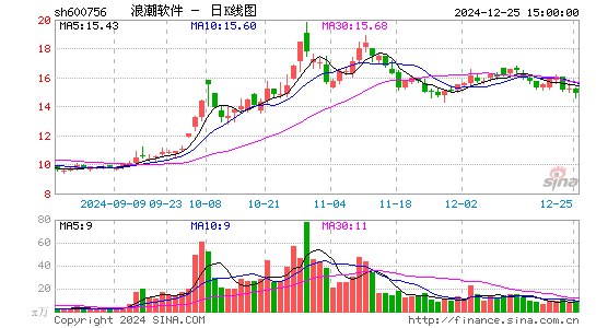 浪潮软件