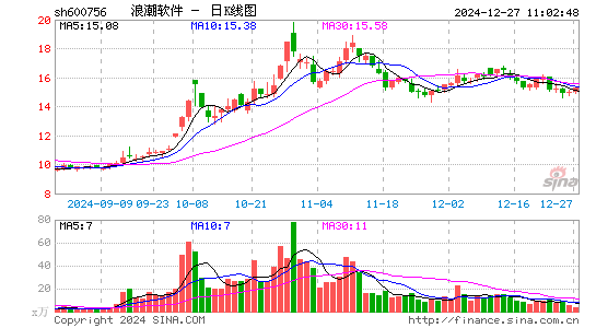 浪潮软件