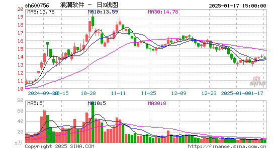 浪潮软件