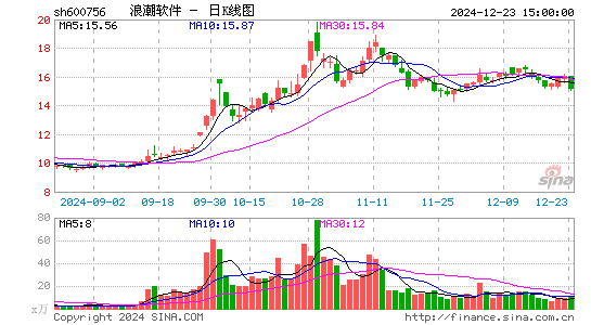 浪潮软件