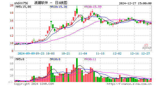 浪潮软件