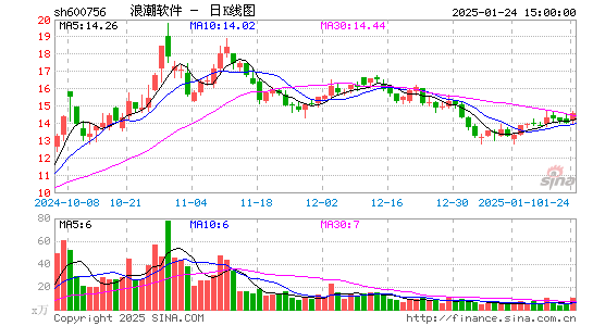 浪潮软件