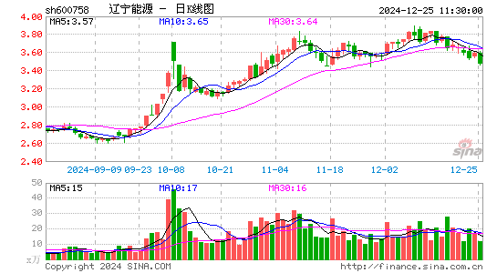 辽宁能源