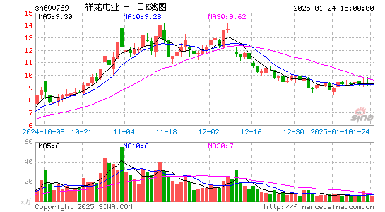 祥龙电业