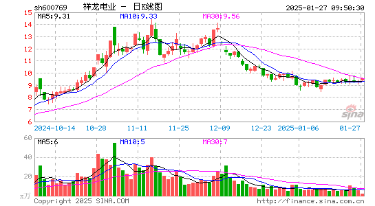 祥龙电业