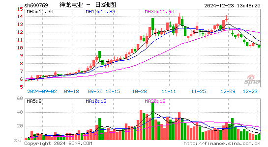 祥龙电业