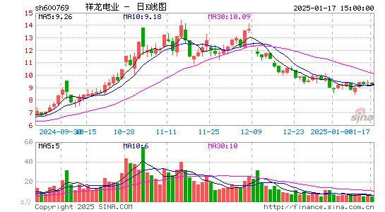 祥龙电业